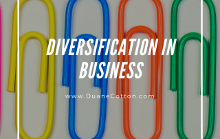 diversification in business